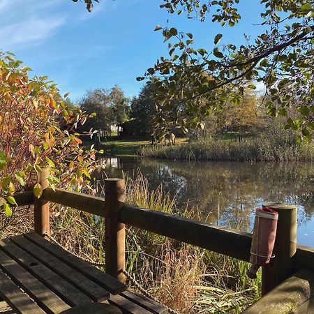 Angie'S Haven, Superb 2 Bedroom Lodge With Hot Tub - Sleeps 6 - Felmoor Park Morpeth Luaran gambar