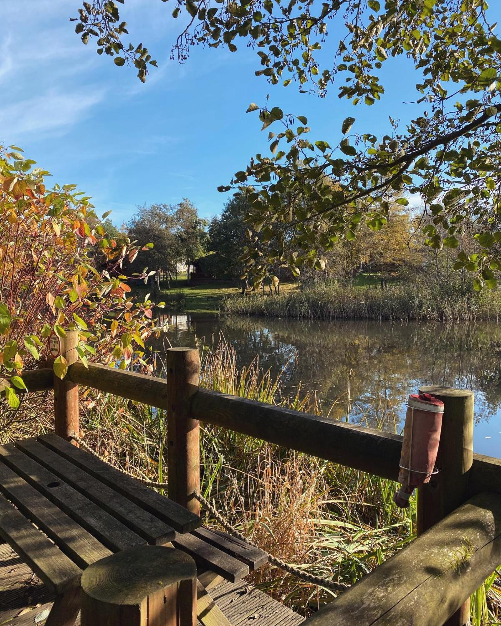Angie'S Haven, Superb 2 Bedroom Lodge With Hot Tub - Sleeps 6 - Felmoor Park Morpeth Luaran gambar